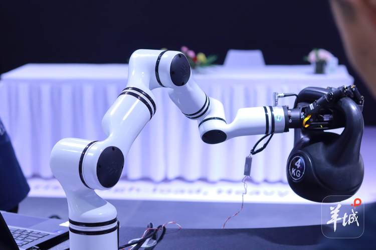 發布123款新產品，融資14.81億元 2025世界機器人大會展現行業強勁動能